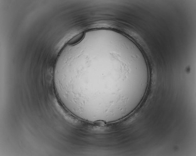 X0000116661233200912291630