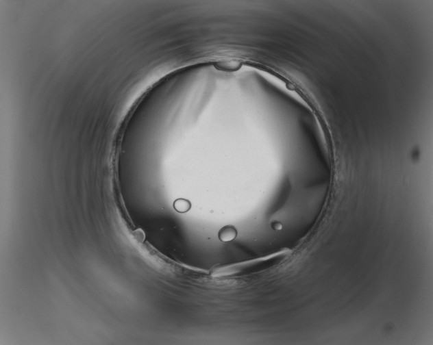 X0000116661235200912291630