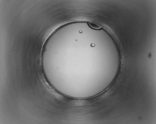 X0000116661236200912291630