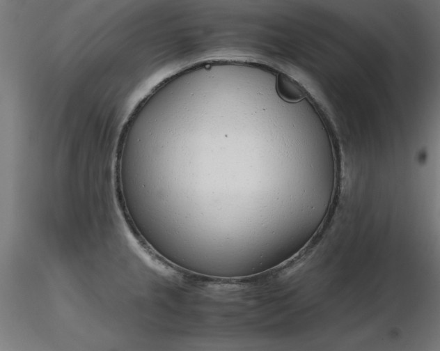 X0000116661237200912291631