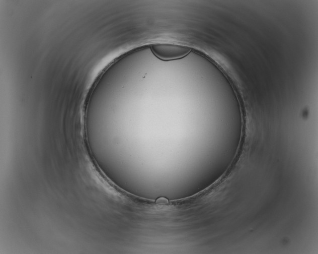 X0000116661238200912291631