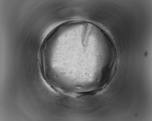 X0000116661239200912291631