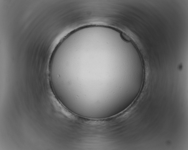 X0000116661240200912291631