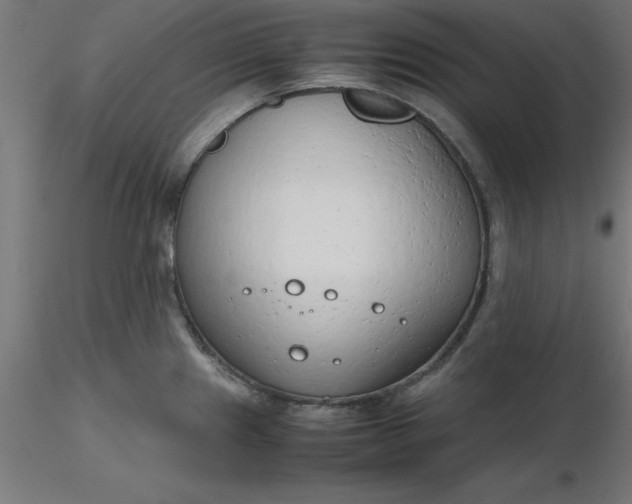 X0000116661241200912291631