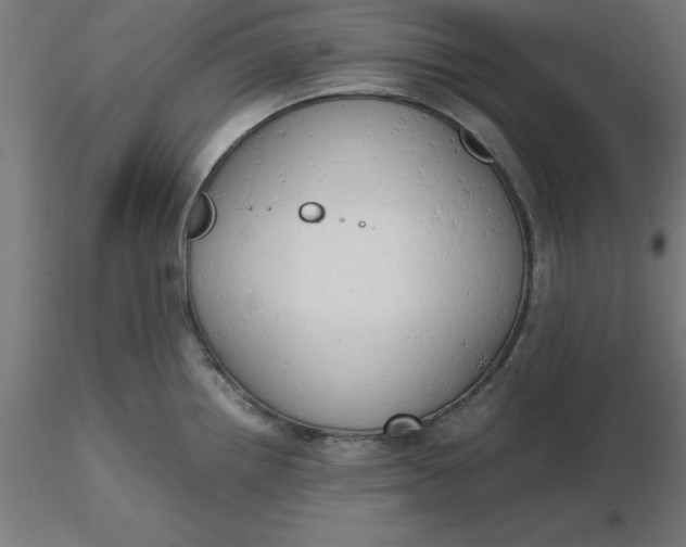 X0000116661242200912291631