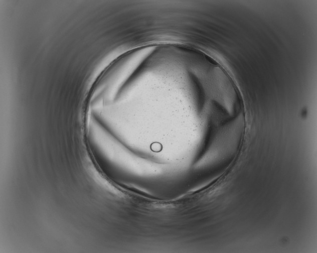 X0000116661243200912291631