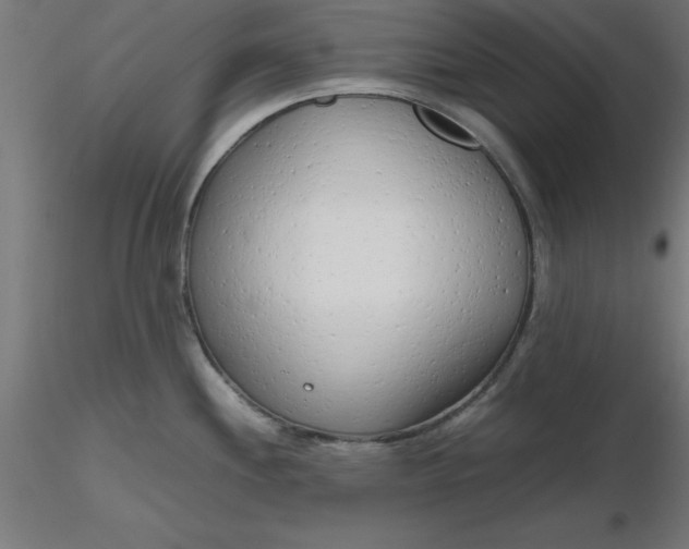 X0000116661244200912291631