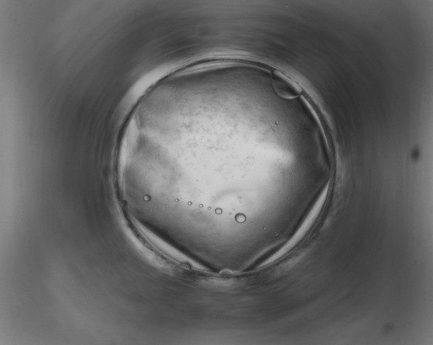 X0000116661245200912291631