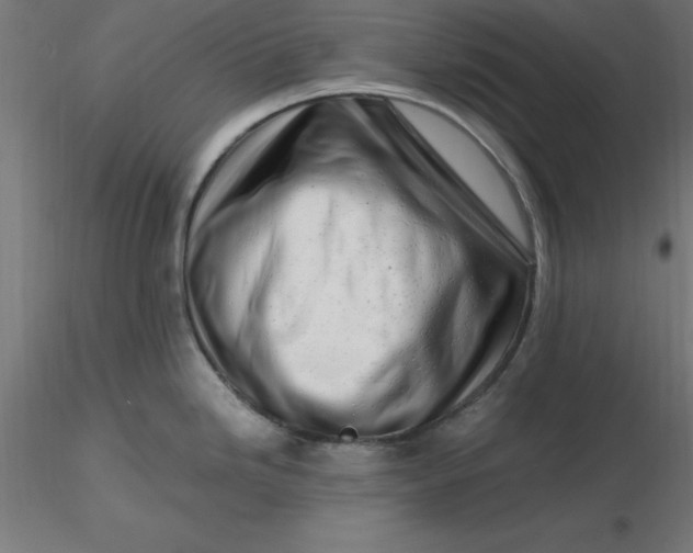 X0000116661246200912291631