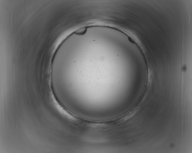 X0000116661247200912291631