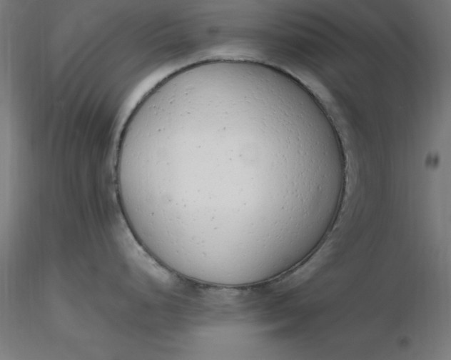 X0000116661248200912291631