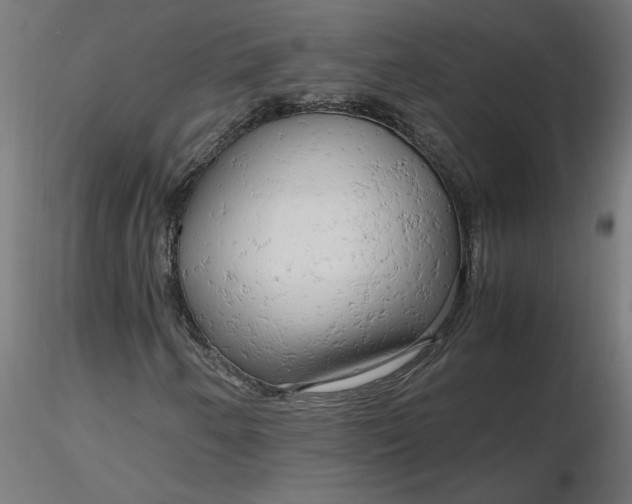 X0000116661250200912291630