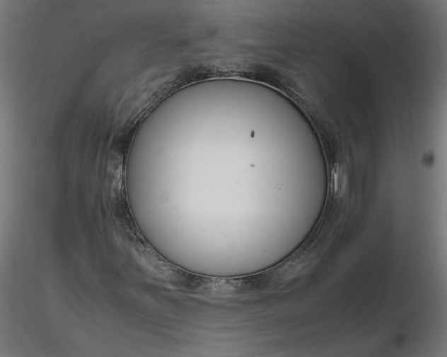 X0000116661251200912291630