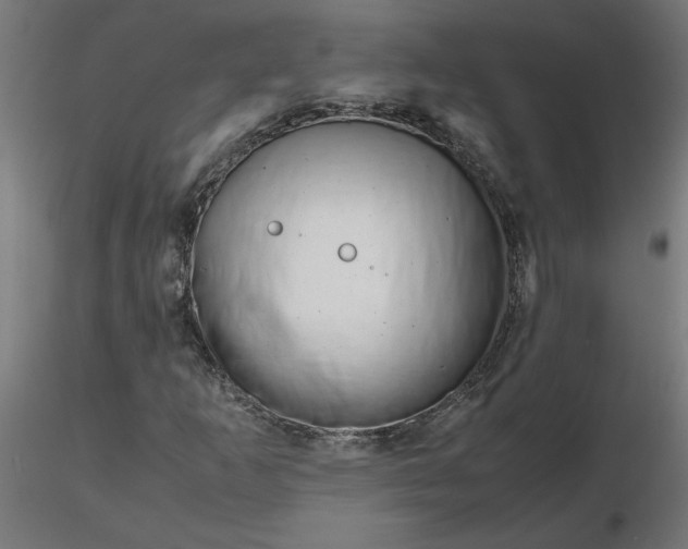 X0000116661253200912291630