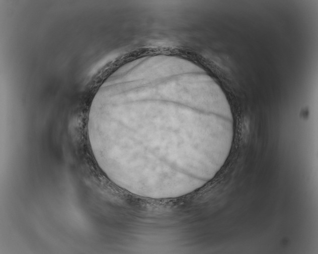 X0000116661254200912291630