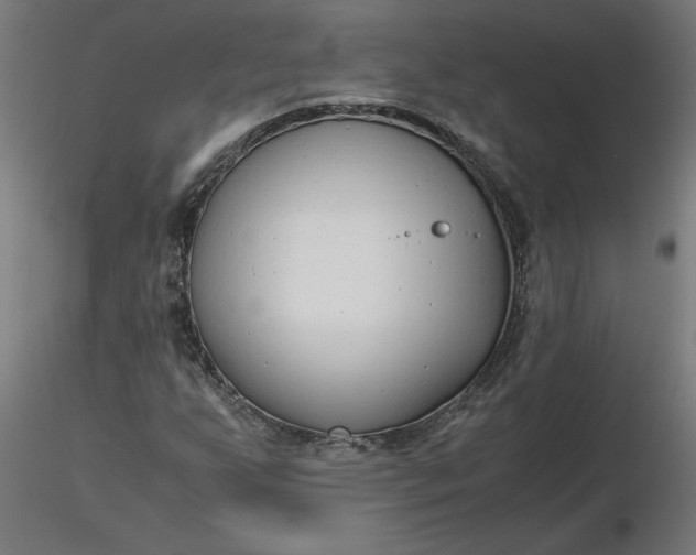 X0000116661255200912291630