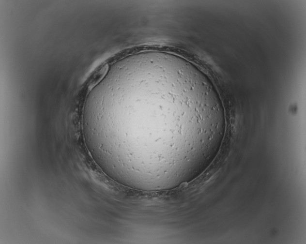 X0000116661256200912291630