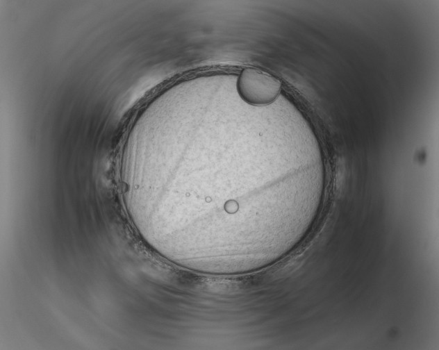 X0000116661258200912291630