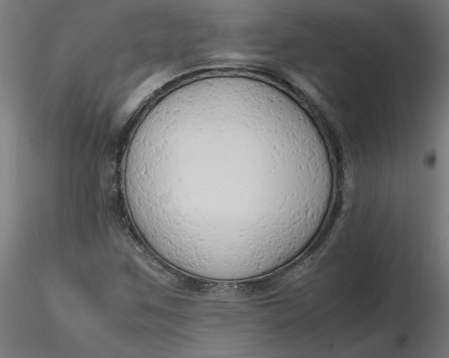 X0000116661259200912291630