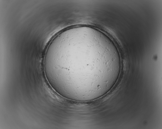 X0000116661260200912291630