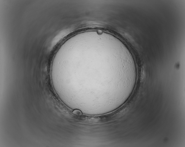 X0000116661261200912291630