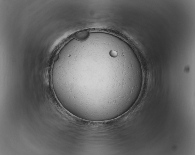 X0000116661262200912291630