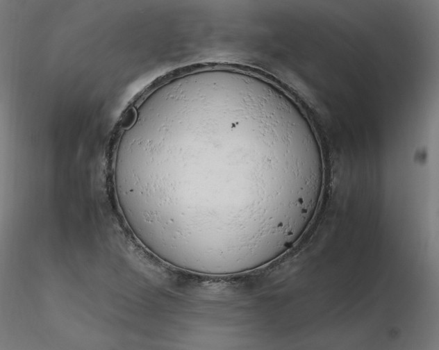 X0000116661264200912291630