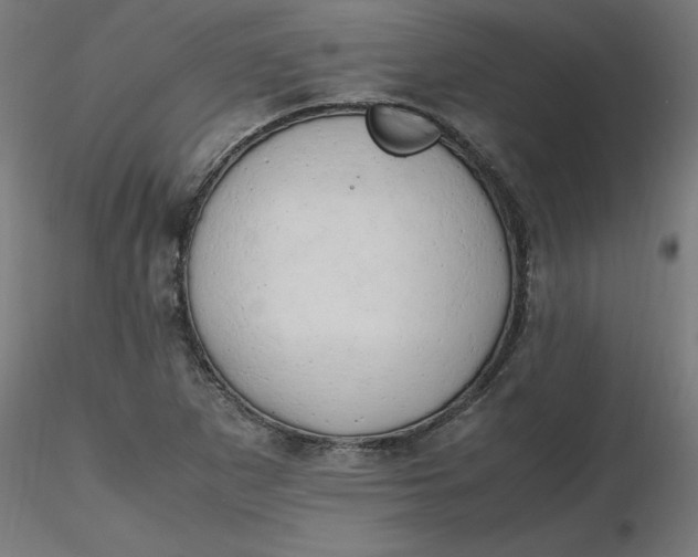 X0000116661265200912291630