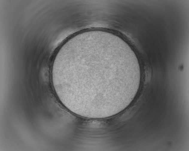 X0000116661266200912291630