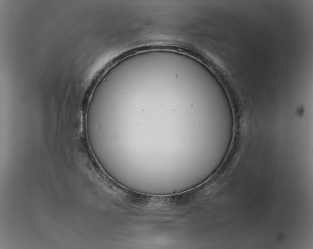 X0000116661267200912291630