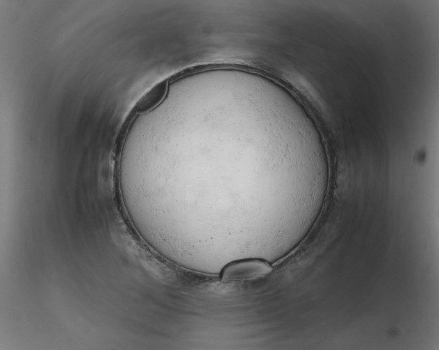 X0000116661268200912291630