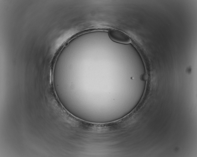 X0000116661269200912291630