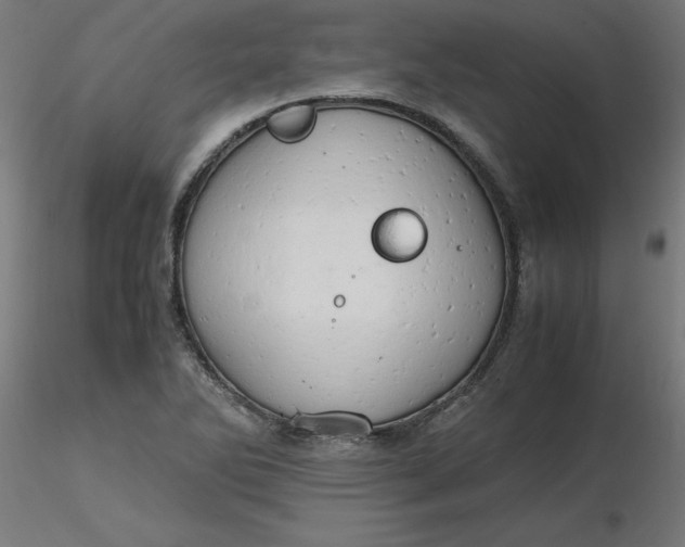 X0000116661270200912291630