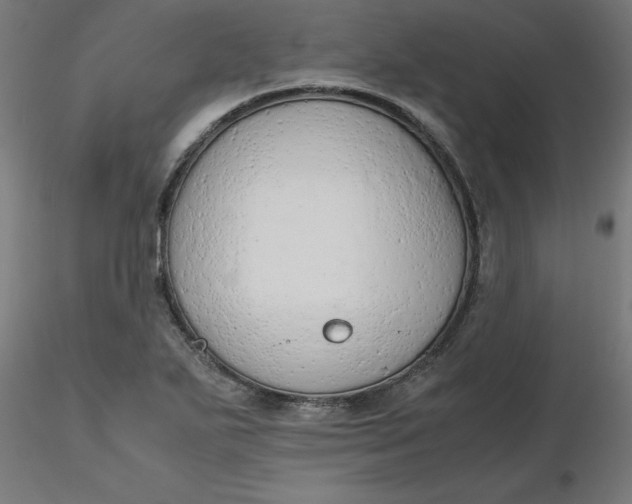 X0000116661271200912291630