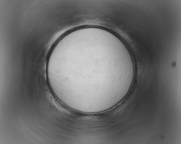 X0000116661272200912291630