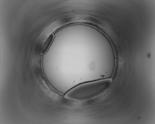 X0000116661273200912291630