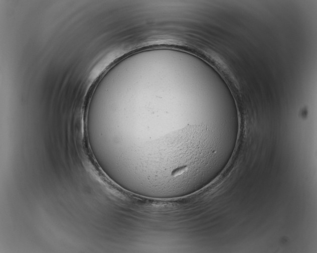 X0000116661274200912291630