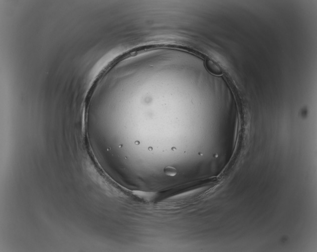 X0000116661275200912291630