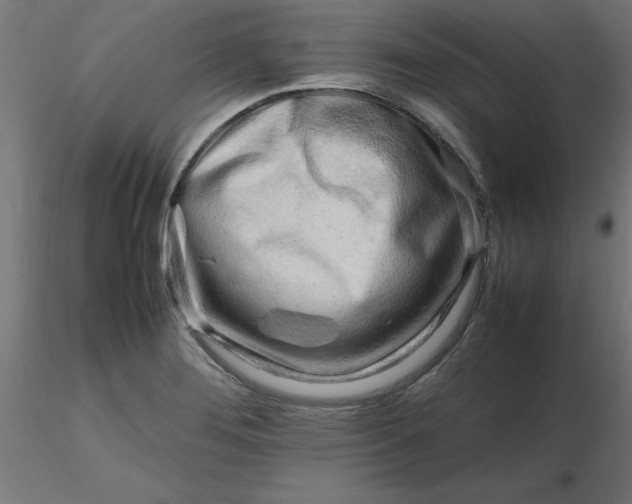 X0000116661276200912291630