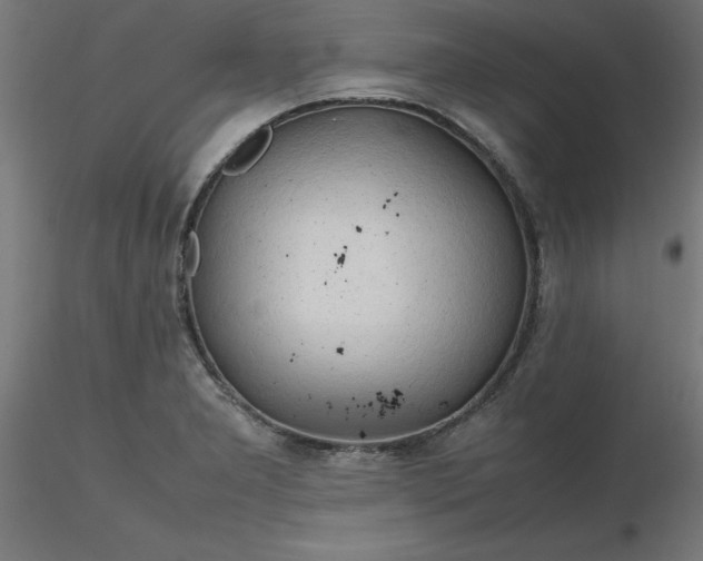 X0000116661277200912291630