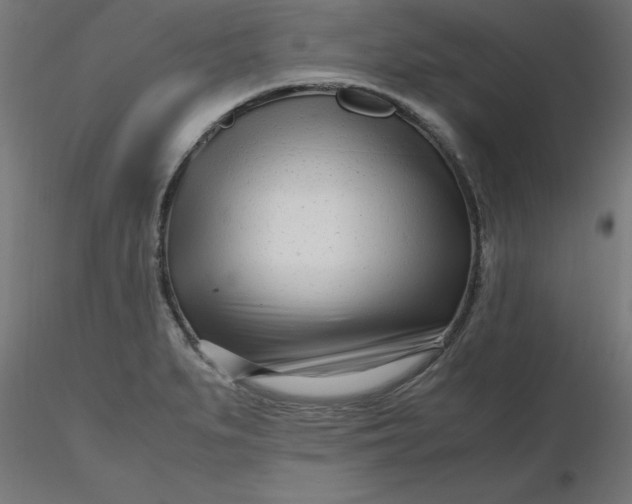 X0000116661279200912291630