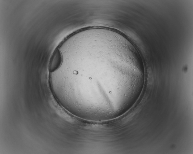 X0000116661280200912291630