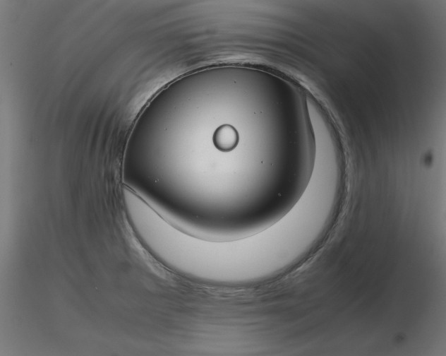 X0000116661281200912291630