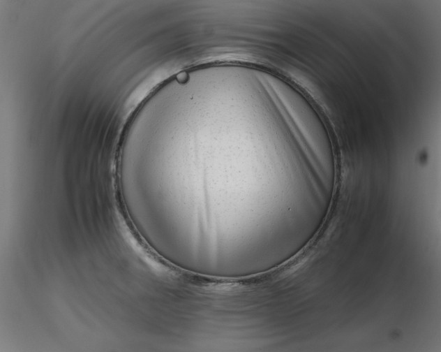 X0000116661282200912291630