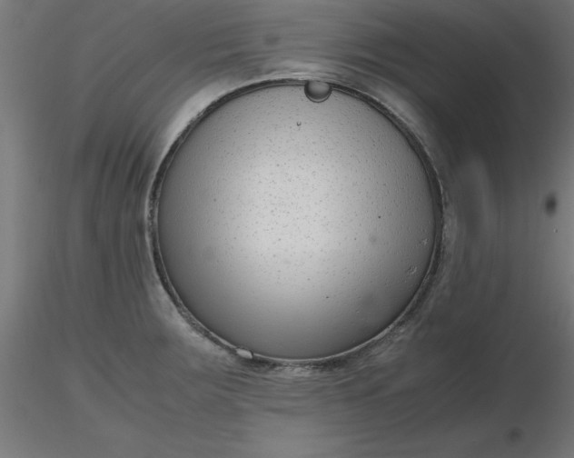 X0000116661283200912291630