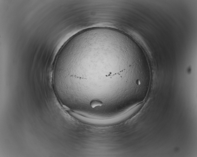 X0000116661284200912291630