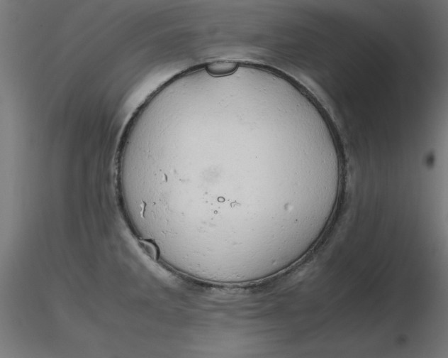 X0000116661285200912291630