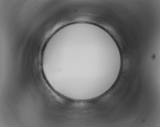 X0000116661286200912291630