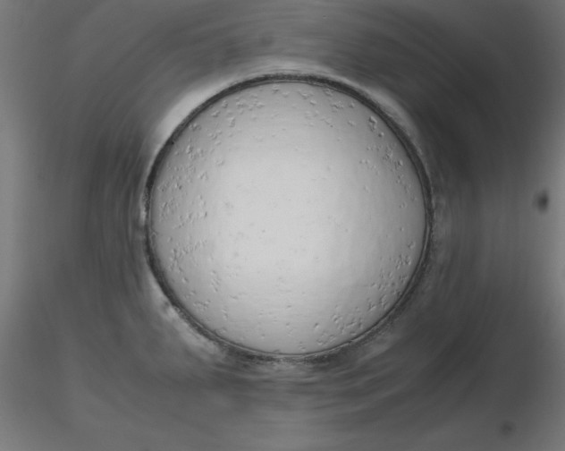 X0000116661287200912291629