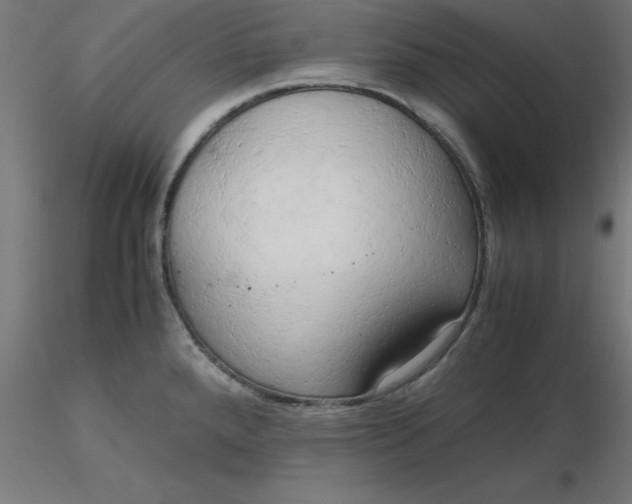 X0000116661288200912291629